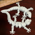 Articulated Lizard - Triple Sensory Fidget Collection Touch + Motion + Sound
